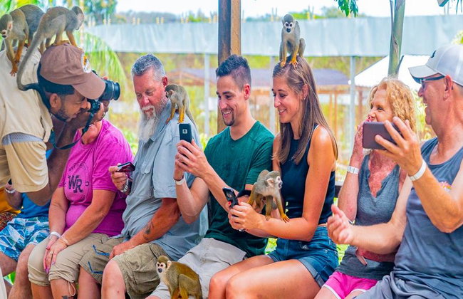 Monkeyland – Visite guidée d'une demi-journée avec transferts - Photo 6